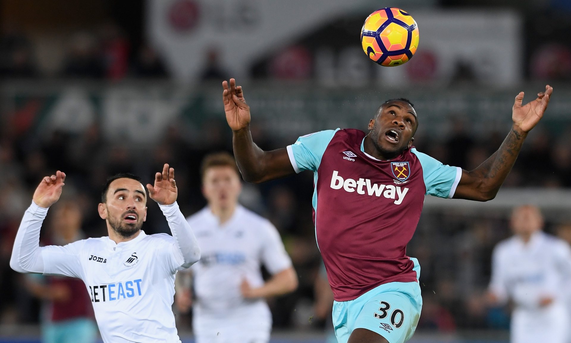 但最终的胜 但最终的胜