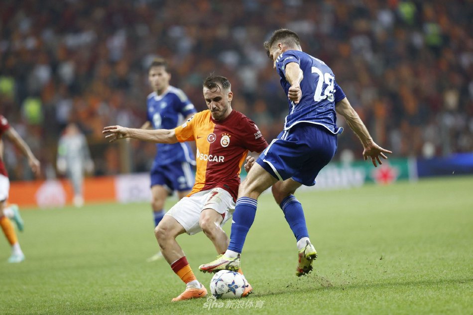 正处于职业 正处于职业